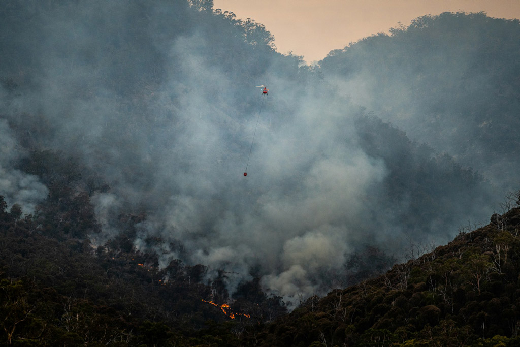 Gefahr durch Waldbrand: Jagdfakten.at informiert