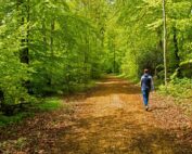 Waldbaden - Jagdfakten.at informiert