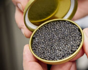 Fertiger Kaviar vom Stör, Fischhandel Gruell - Jagdfakten.at informiert