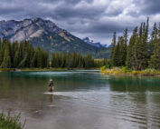 Fischen und Fischer in Österreich: Jagdfakten.at im Gespräch mit dem Österreichischen Fischereiverband