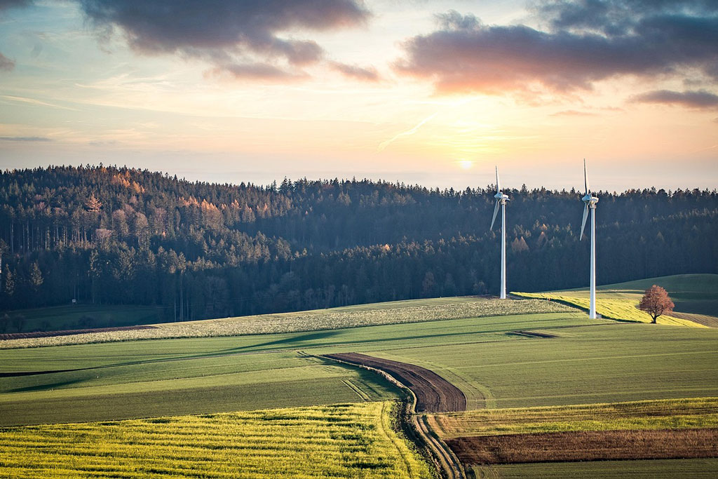 Windräder und Vogelpopulation - Energie mit Gegenwind? Jagdfakten.at informiert