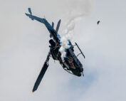 Große Events und Wildtiere - wie groß ist das Sicherheitsrisiko? Jagdfakten.at informiert