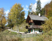 Was kostet die Jagd in Österreich: Jagdfakten.at informiert