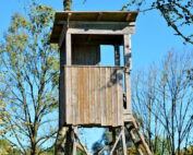 Hochsitz - Jagdunfall vermeiden: Jagdfakten.at informiert