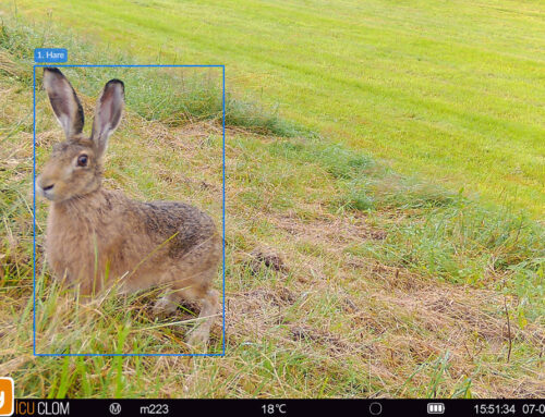 KI im Jagdrevier: Risiko oder Chance?