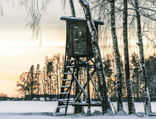 Tipps für Jungjäger: So nutzt ihr den Winter richtig