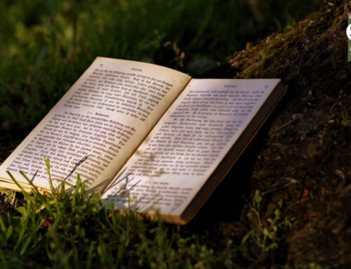 Jagdlyrik: Gegenwartskultur oder Zeitzeugin?