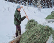 Nachhaltige Futterstellen-Tipps für Winterfütterung: Jagdfakten.at informiert