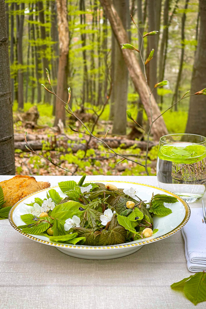 Baumblattsalat - Wie schmeckt der Wald: Jagdfakten.at informiert