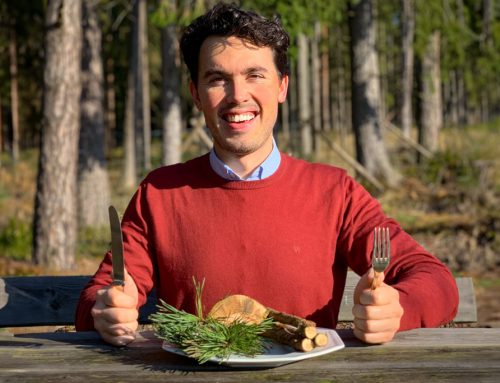 Wie schmeckt der Wald?