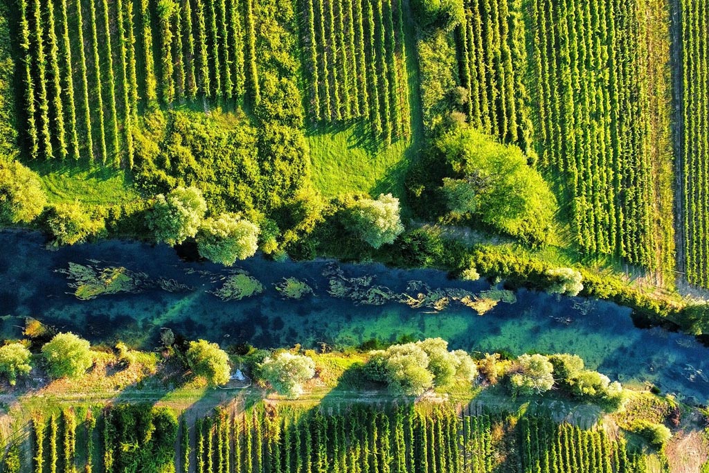 Felder, Wasser, Gruenstreifen - Jagdfakten.at informiert