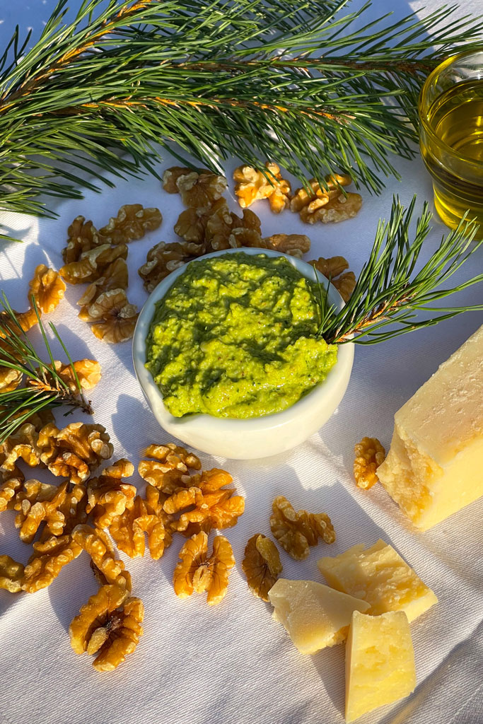 Kiefernadelpesto - Jagdfakten.at informiert