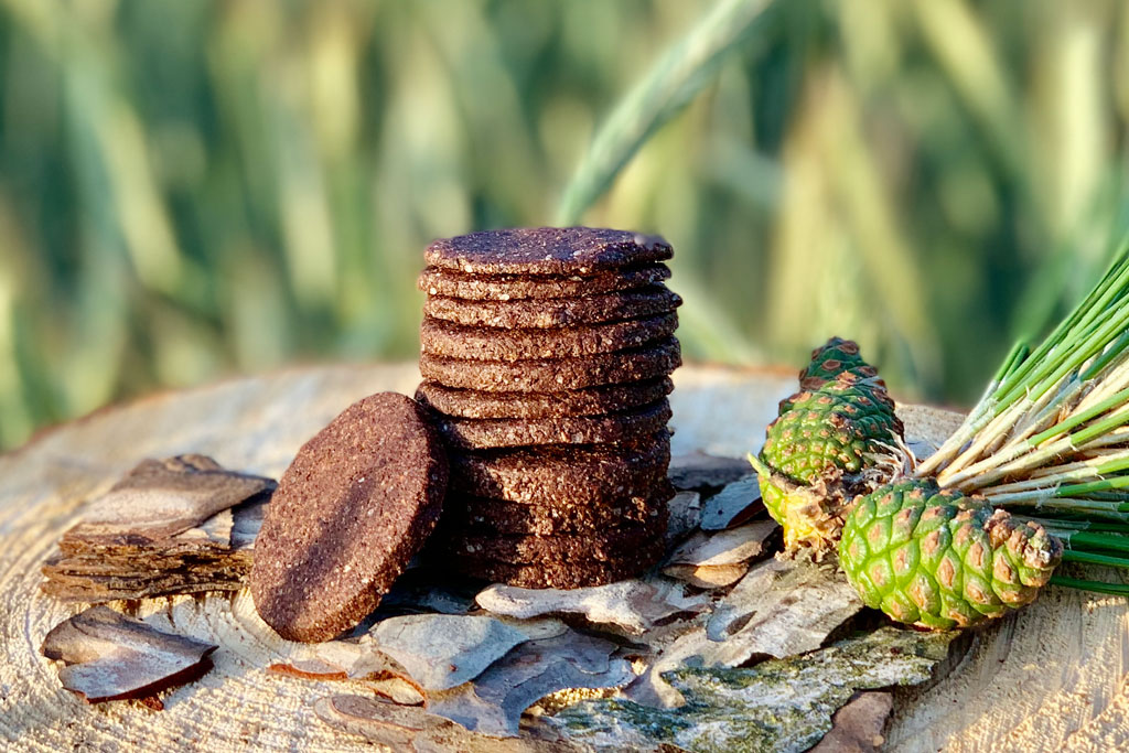 Kiefernrinden-Kekse - Jagdfakten.at informiert
