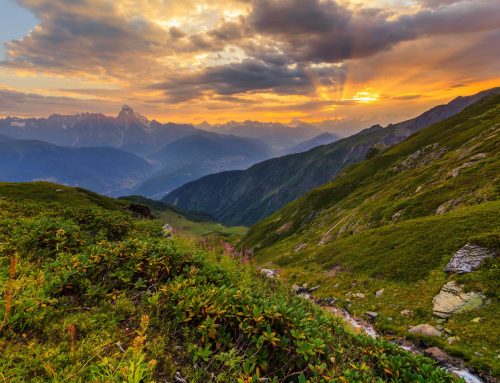 Weltnaturschutztag: Schützen, erhalten und nachhaltig nutzen