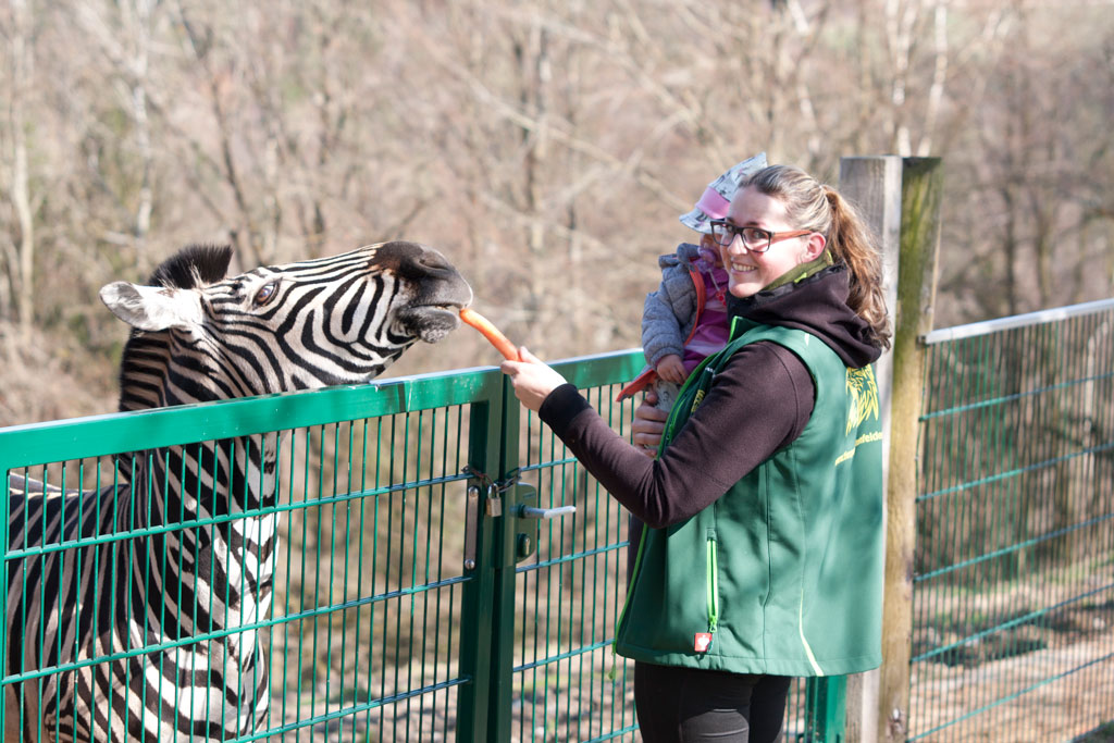 Barbara Laher-Hofer mit Kind und Zebra im Tierpark Altenfelden - Jagdfakten.at informiert
