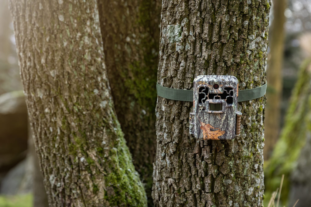 FIWI Leistungen für Jäger - Beobachtungen aus einem Revier (zB. mit Wildkamera) wissenschaftlich aufbereiten: Jagdfakten.at informiert
