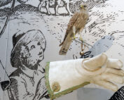 Jagdmuseum Schloss Stainz, Falknerei: Die Jagd im Wandel der Zeit - Jagdfakten.at informiert