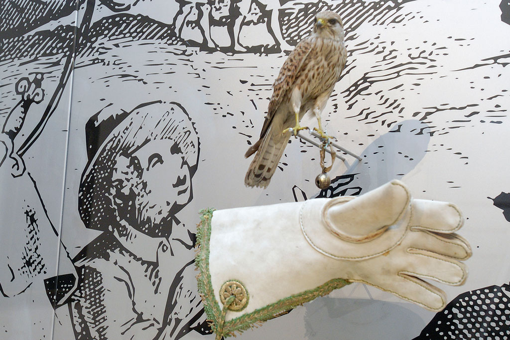 Jagdmuseum Schloss Stainz, Falknerei: Die Jagd im Wandel der Zeit - Jagdfakten.at informiert