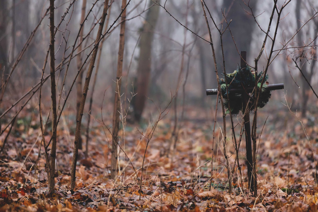 Allerheiligen - Warum am 1. November die Jagd ruht: Jagdfakten.at informiert